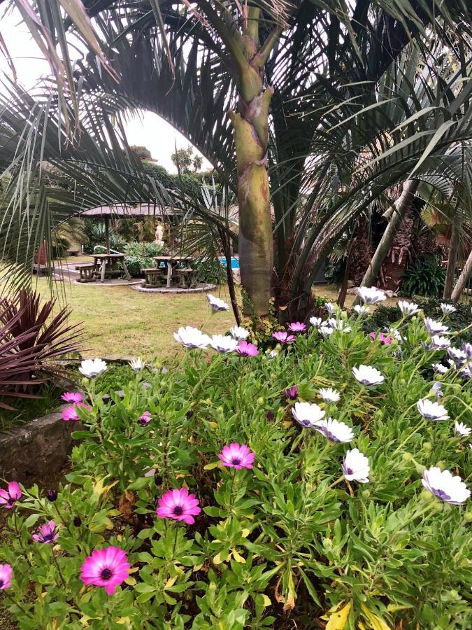 Quinta Da Bela Vista Villa Ponta Delgada Exteriör bild