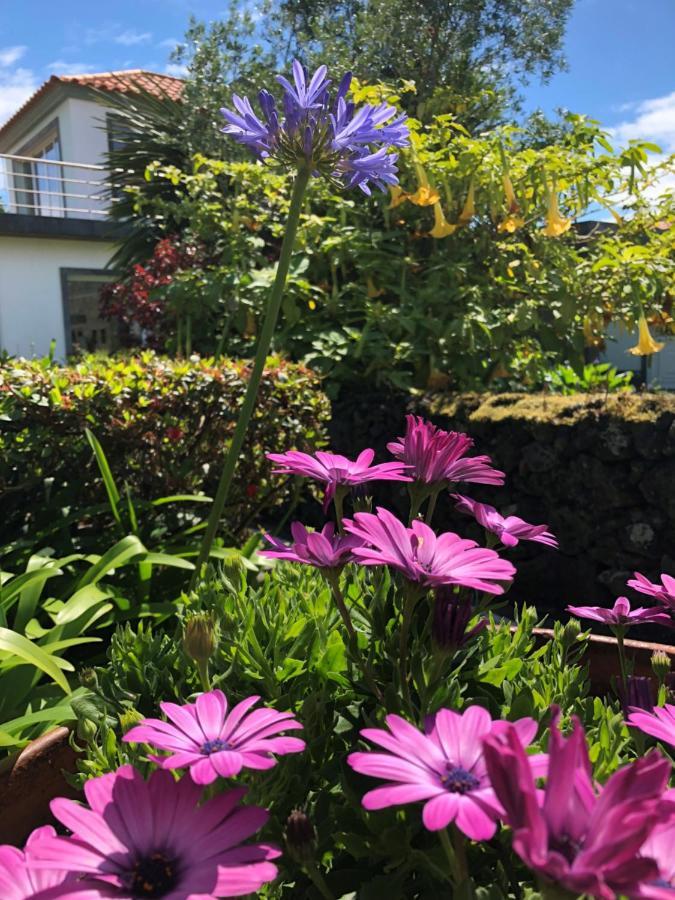 Quinta Da Bela Vista Villa Ponta Delgada Exteriör bild